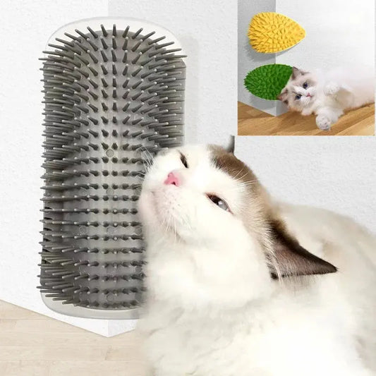 Scratch - Grattoir - MyPetsFriends