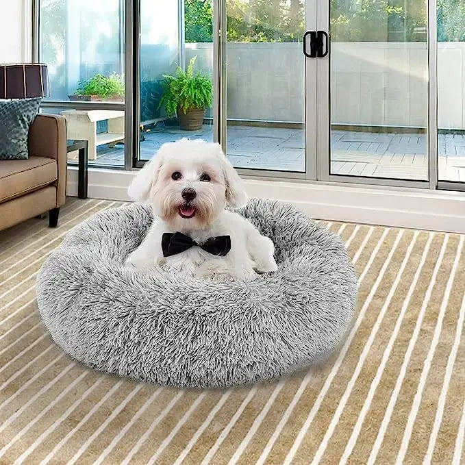 Teddy - Nid douillet - MyPetsFriends