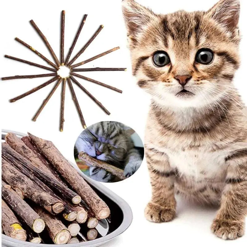 Snacks - Baton d'herbe à chat - MyPetsFriends