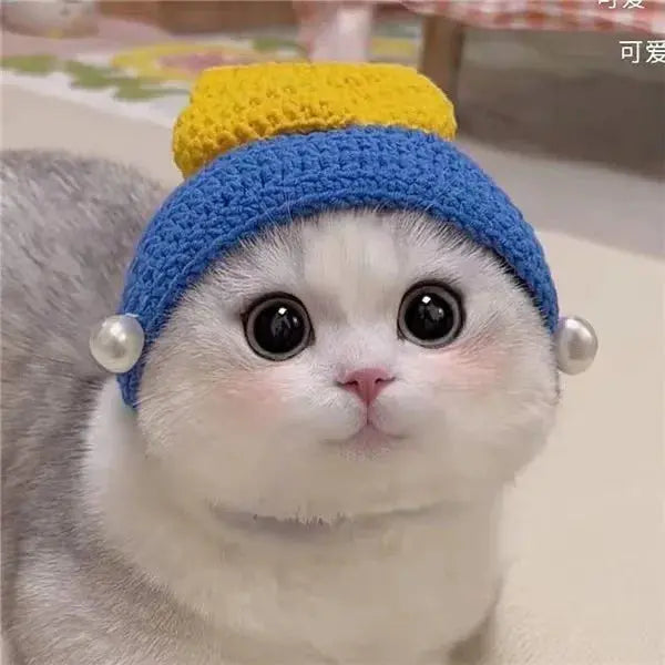 Bobo - Bonnet chic - MyPetsFriends