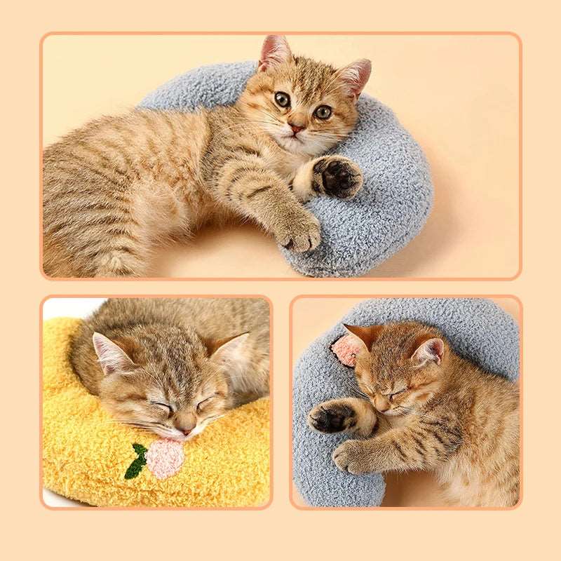 Softy - Coussin - MyPetsFriends