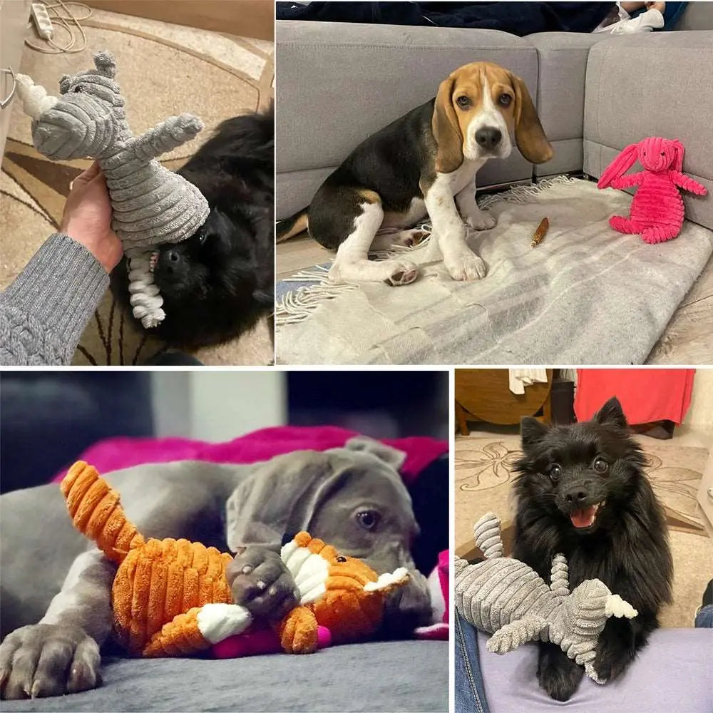 Doudou - Jouet - MyPetsFriends