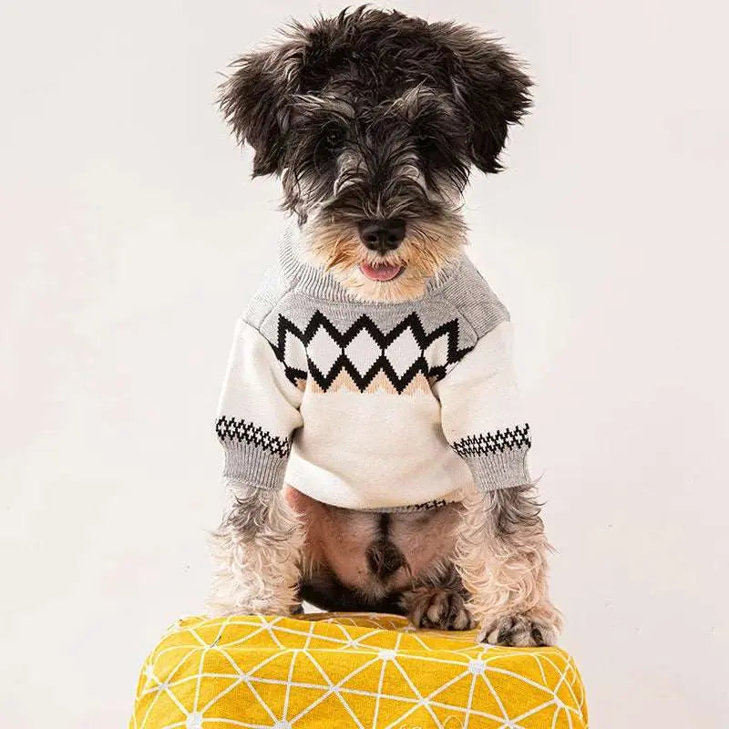 Sinay - Habit chic - MyPetsFriends