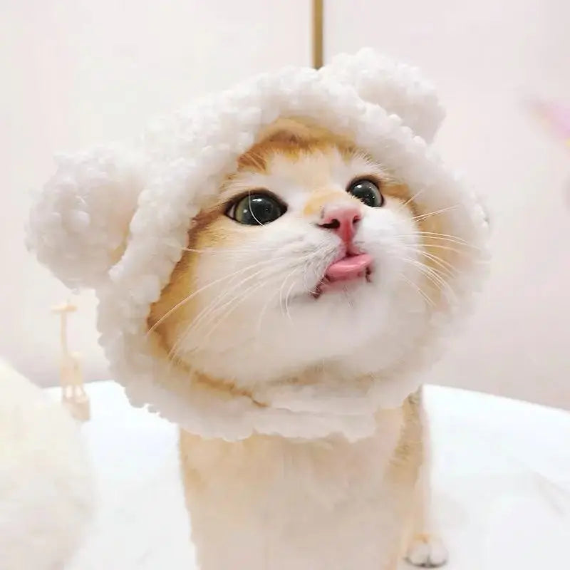 Winnie - Bonnet chic - MyPetsFriends