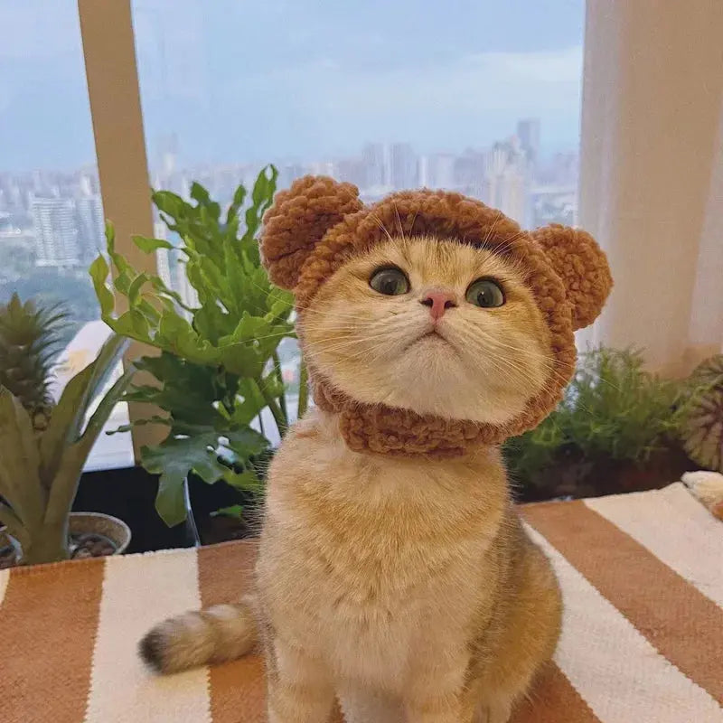 Winnie - Bonnet chic - MyPetsFriends