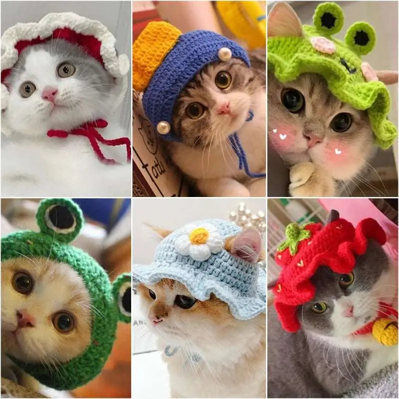 Bobo - Bonnet chic - MyPetsFriends