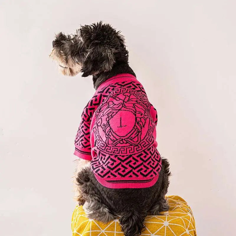 Sinay - Habit chic - MyPetsFriends