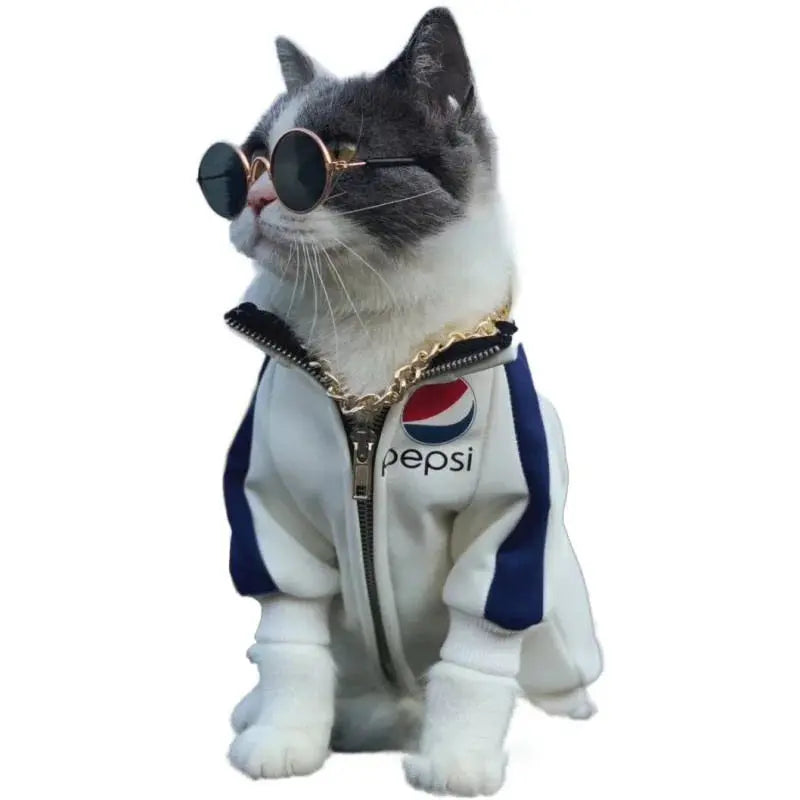 Ryder - Lunette chic - MyPetsFriends