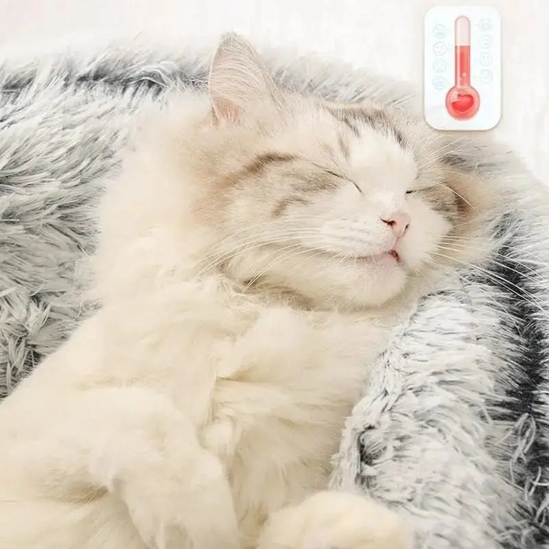 Looney - Nid douillet - MyPetsFriends