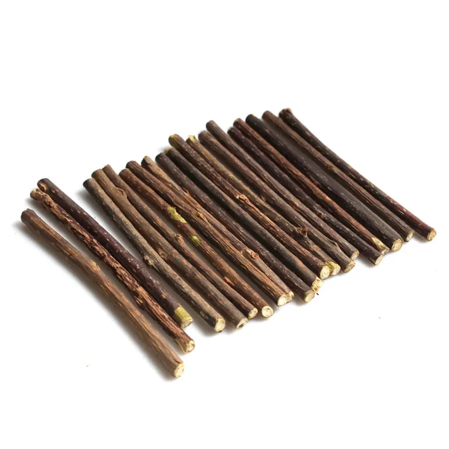 Snacks - Baton d'herbe à chat - MyPetsFriends