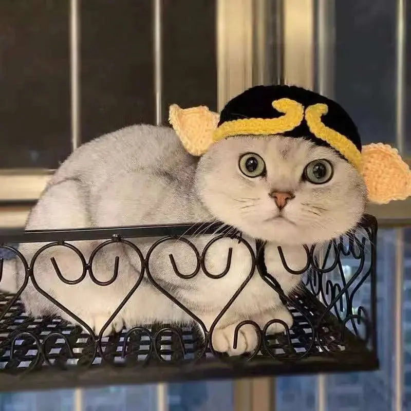Bobo - Bonnet chic - MyPetsFriends
