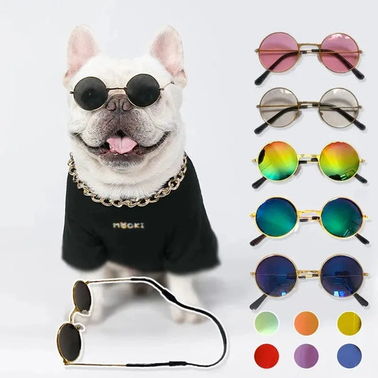 Ryder - Lunette chic - MyPetsFriends