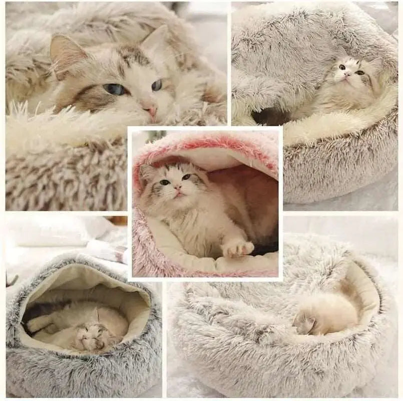 Looney - Nid douillet - MyPetsFriends