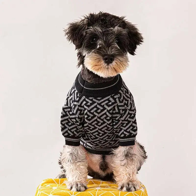 Sinay - Habit chic - MyPetsFriends