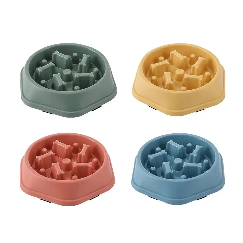 Foody - Gamelle - MyPetsFriends