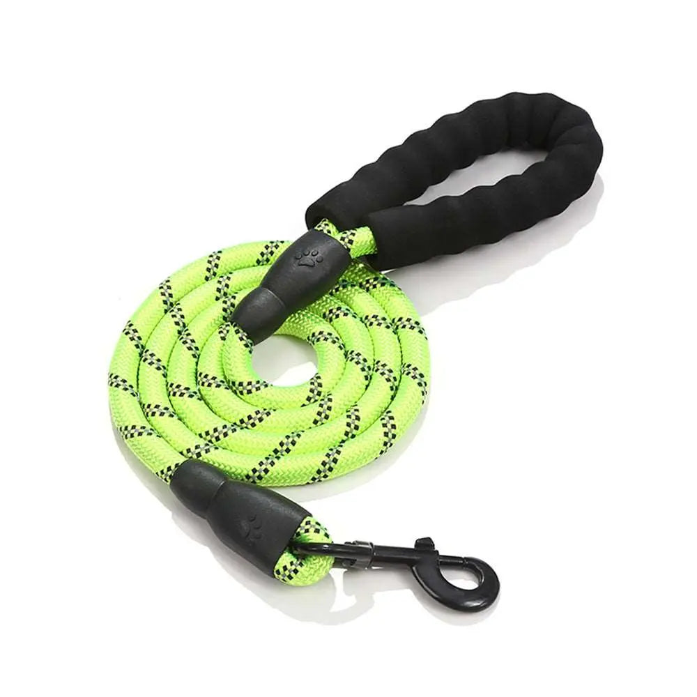 Spark - Laisse - MyPetsFriends